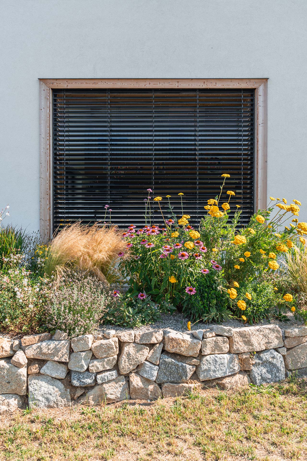 Window with horizontal blinds embedded in a light stucco wall, surrounded by a wooden frame; a colorful garden bed with yellow, pink, and purple flowers in front.